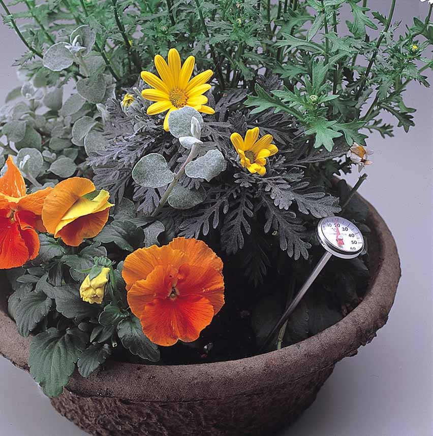 クイックサーモ TD-8256